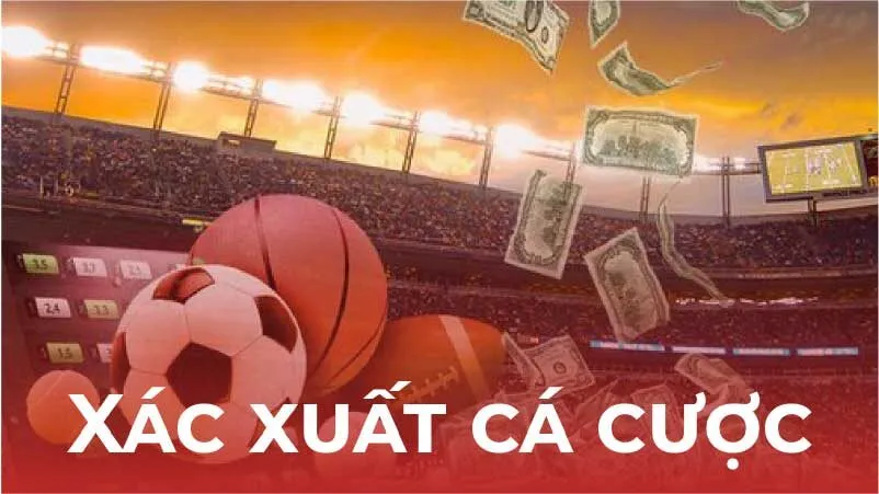 Xác suất Cá Cược: Hướng Dẫn Chi Tiết, Công Cụ Hỗ Trợ & Các Yếu Tố Ảnh Hưởng 2 phan-tich-xac-suat-ca-cuoc:-huong-dan-chi-tiet-va-cac-cong-cu-ho-tro